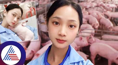 Chinese Women Becomes Internet Sensation After Left Job For Pig Farming roo