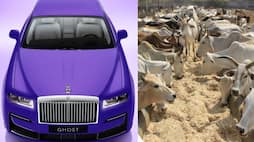 Rolls Royce use 8 European breed bulls leather for single car interior ckm