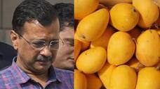 ED tells court Kejriwal eating mangoes, sweets despite type 2 diabetes to make grounds for bail KRJ