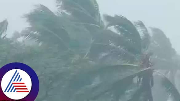 Heavy stormy rain at teerthahalli a man dies after tree fell down rav