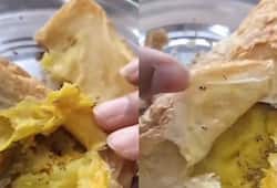 ants found inside samosa filling bought from college canteen video went viral 