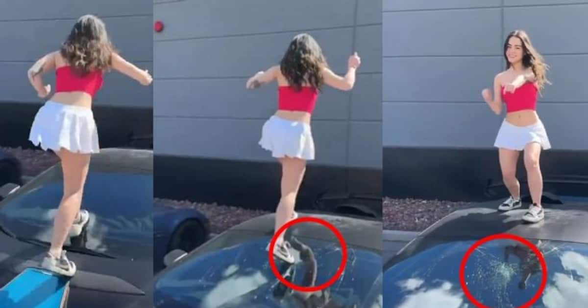 WATCH: Female tiktoker dances on Lamborghini car, breaks windshield ...