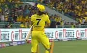 cricket IPL 2024: MS Dhoni's exceptional form and future prospects; Insights from Michael Hussey osf