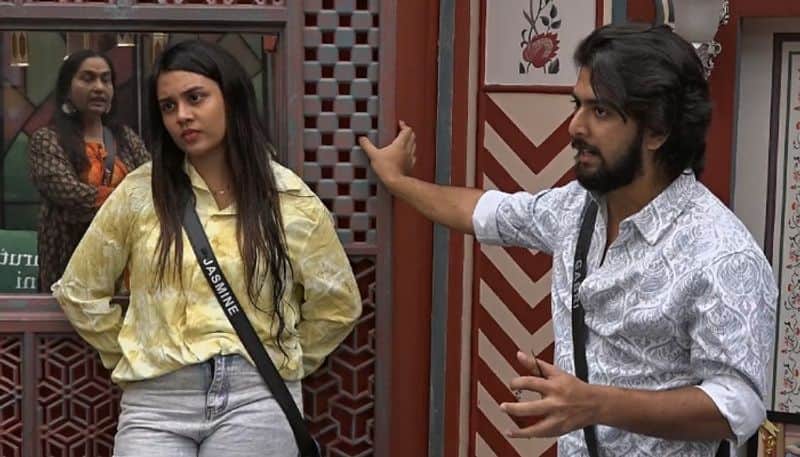 we dont have the clarity jasmin jaffar about the relationship with gabri in bigg boss malayalam season 6