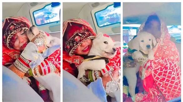 video of a bride crying as she can't leave her dog after her wedding has gone viral