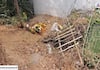 The youth of the area buried the monkey who died due to electric shock in Tiruppathur vel