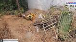 The youth of the area buried the monkey who died due to electric shock in Tiruppathur vel