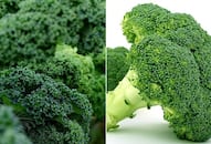 Broccoli to Kale: 7 vegetables that help reduce inflammation naturally ATG