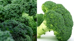 Broccoli to Kale: 7 vegetables that help reduce inflammation naturally ATG