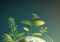  eco friendly habits earth day 2024  xbw