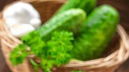side effect of cucumber jyada kheera khane ke nuksan kxa 