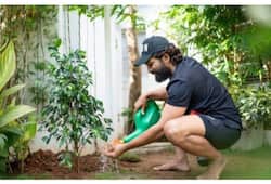 World Earth Day 2024: Allu Arjun wishes netizens and expresses his love for mother nature; Read on ATG