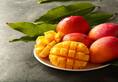Mango Mania: 7 Delicious recipes for savoring the sweetness of summer! nti 
