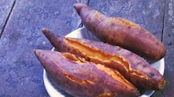 sweet potato benefits benefits shakarkand khane ke fayde kxa 