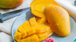 Mango to Lychee: 7 delicious sweet summer fruit you must eat ATG