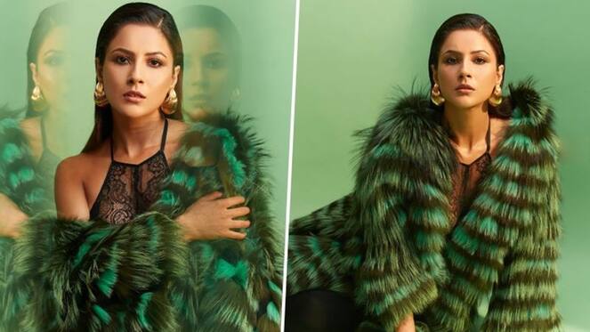 Shehnaaz Gill looks HOT as she drops pictures in SEXY green fur outfit RKK