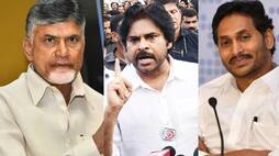 Chandra babu and Jagan and Pawan Kalyan family asset  details who is the richest Leader JmS