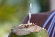 Which people should not drink coconut water? rsl
