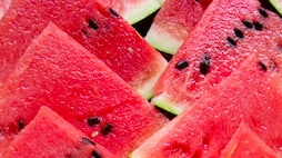 Reasons Why You Should Eat Watermelon Through The Summer Season