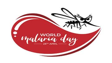World Malaria Day 2024: Here is everything you need to know  NTI