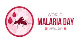 World Malaria Day 2024: Causes, symptoms, and precautions you need to know NTI
