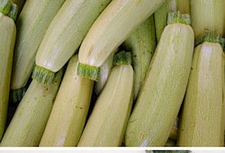 7 reasons why Zucchinis are MUST for summer ATG