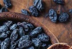 black raisins benefits for men and women kali kishmish ke fayde kxa 
