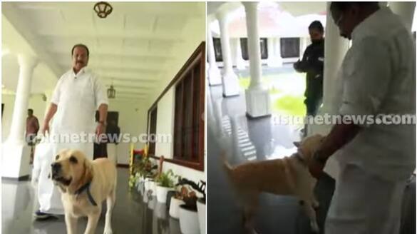 watch k sudhakarans pet dog brunos video