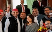 Lok Sabha Elections 2024: Samajwadi Party chief Akhilesh Yadav contesting from Kannauj declares assets gcw