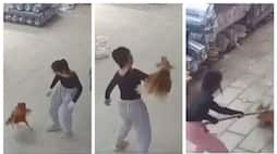video of a woman attacking a chicken that came to attack her is going viral 