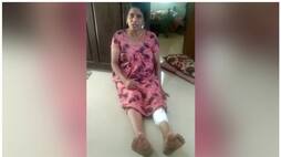 Palakkad pig attack woman injured