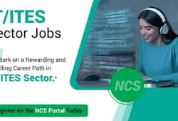 Good News Offered More Jobs Than Applied For In 2023-24 on Government Portal NCS XSMN
