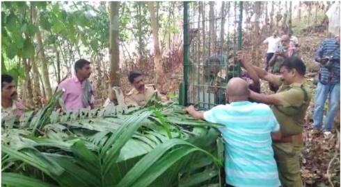 Tiger in Parakadav Manjumma, forest department unconfirmed; Surveillance has been intensified