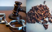 SHOCKING! 2 booked for piercing iron nails in woman's body as cure for infertility in Maharashtra anr