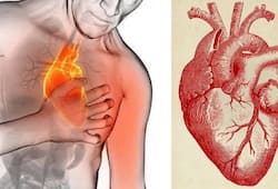 symptoms of heart disease  heart attack xbw