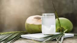 What are the ultimate benefits of consuming coconut water? NTI EAI