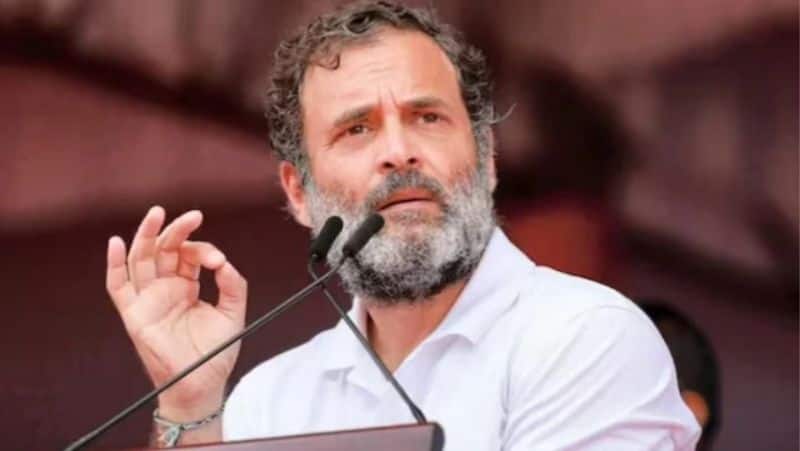'Came to see who is killing India's democracy': Congress' Rahul Gandhi recalls 55-hour ED questioning (WATCH)