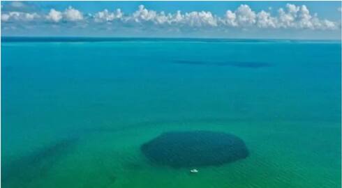 Deepest blue hole in the world discovered in Mexico 