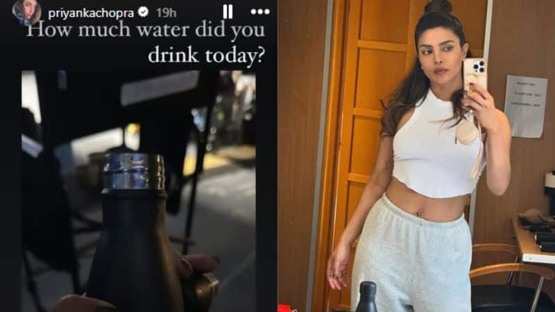 Priyanka Chopra reminding you to stay hydrated: "How Much Water Did You Drink?" RTM