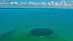 Inside world's deepest blue hole: Mexico's Taam Ja' is over 1.3k feet deep; has hidden caves & tunnels (WATCH) snt