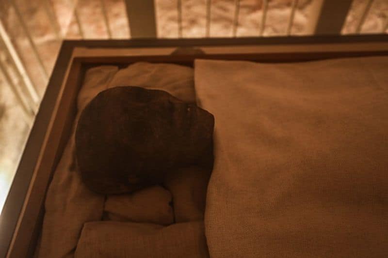100-year-old 'Pharaoh's curse' mystery SOLVED! Scientists claim real reason for Tutankhamun tomb deaths found snt