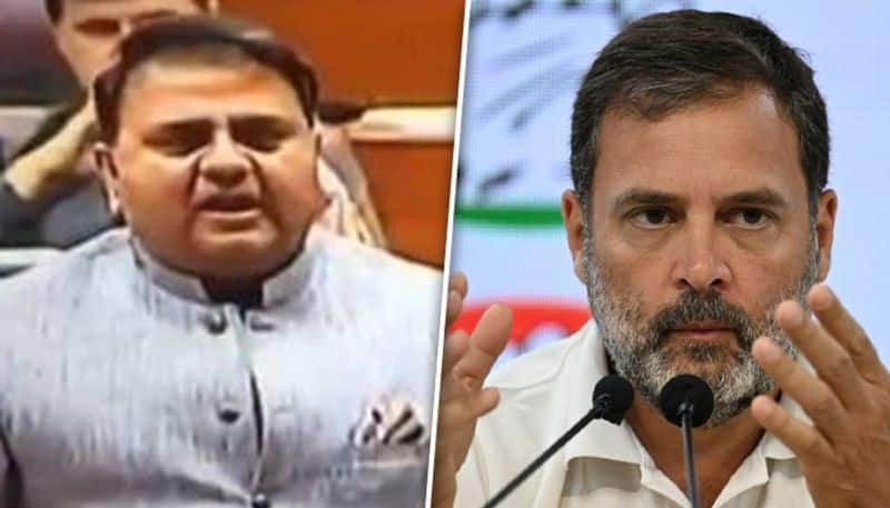 Fawad Chaudhry, who admitted Pakistan's hand in Pulwama attack, endorses Congress' Rahul Gandhi; sparks row
