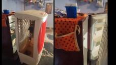 Man makes jugaad AC with fridge, Internet says cooler He failed in thermodynamics KRJ