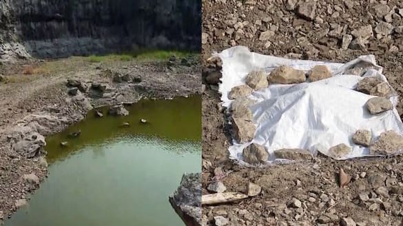 The skull was found in a quarry pond at Ramsheri, Palakkad