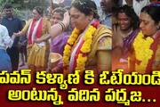 Nagababu Wife Election Campaign in Pithapuram
