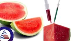 How To Identify An Injected Watermelon Learn How Dangerous It Is To Eat Such Injected Fruits skr