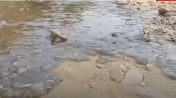 tamil nadu opens dam water flows to bhavani river during drinking water crisis