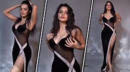 SEXY photos: Ashu Reddy flaunts her curves in BOLD black sheer corset gown; take a look RBA