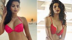 Model come Actress Sonali Raut share Bold pink Bikini photos in Social media ckm