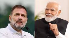 PM Narendra Modi and Congress Leader Rahul Gandhi Assets details  AKP